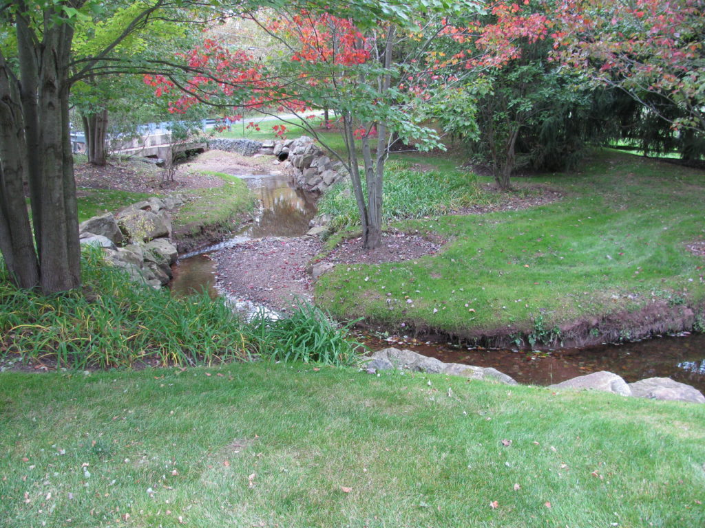 Riparian Restoration Programs in Upper Makefield Township